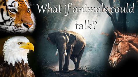 Do animals talk to us?